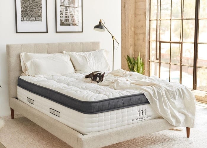 Brentwood Home Oceano Mattress Review: Test Lab Ratings