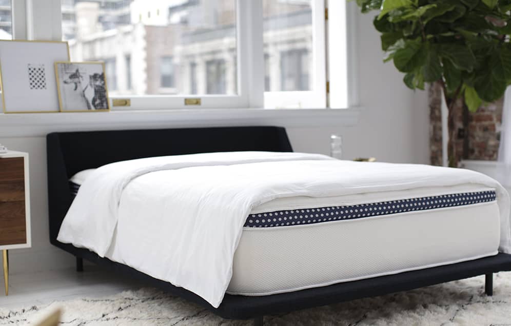The WinkBed